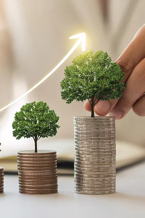 Financial Growth Concept With Trees Stacked Coins Graph Arrow Investment Saving 1
